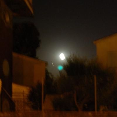 Dsc 7871
